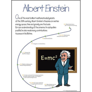 Albert Einstein Elementary Poster