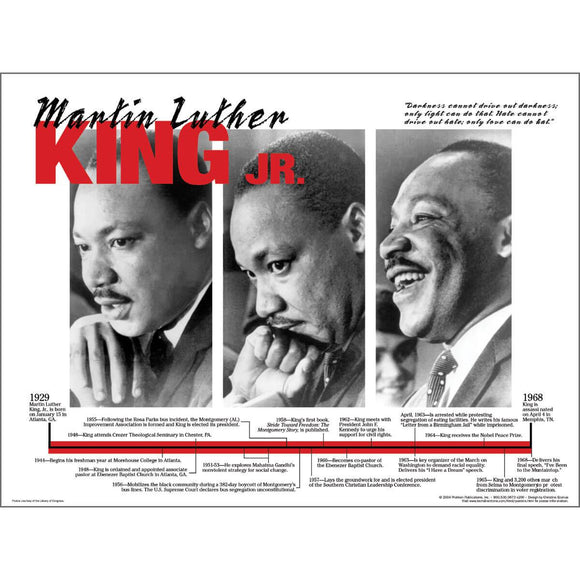 Martin Luther King, Jr. Portraits  Poster